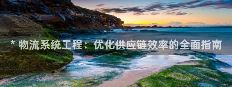 28圈提款一直没到：* 物流系统工程