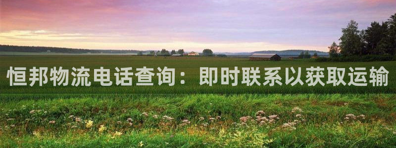 28圈提现不到账：恒邦物流电话查询：