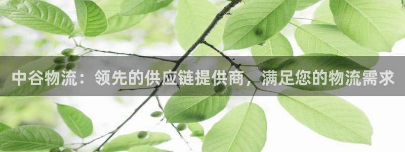 28圈退款：中谷物流：领先的供应链提