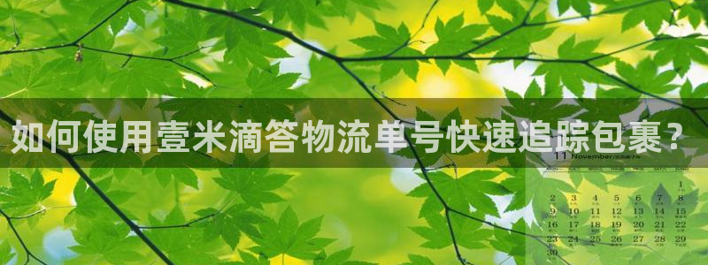 28圈充值不到账