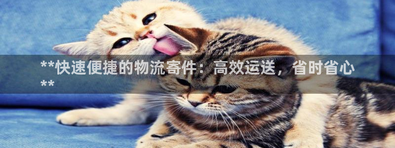 28圈麻将：**快速便捷的物流寄件：