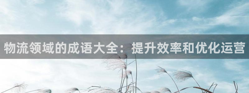 28圈昵称