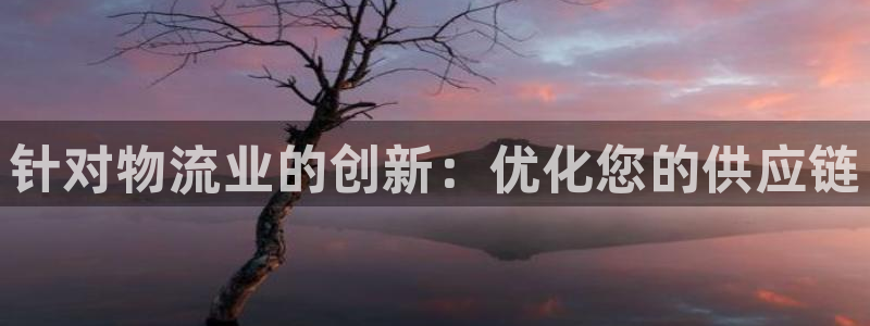 28圈怎么注册下载：针对物流业的创新