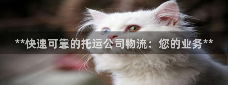 28圈p扣除：**快速可靠的托运公司