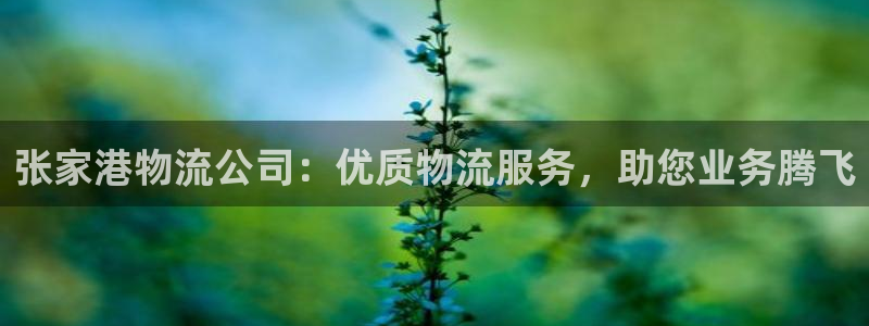 28圈退款教程