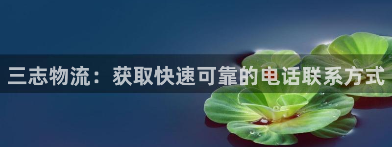 28圈官网平台下载