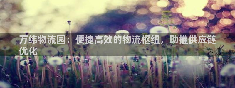 28圈软件总是闪退怎么回事：万纬物流
