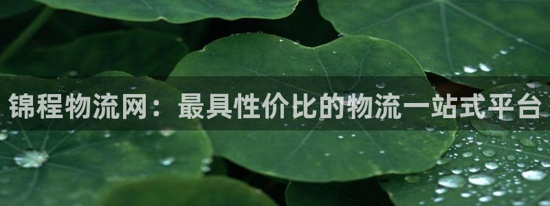 28圈下载体育：锦程物流网：最具性价