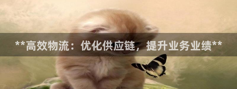 28圈在线预测官网