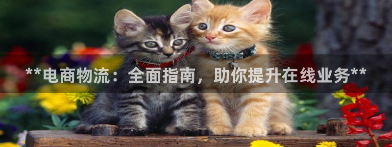 28圈娱乐官网网页下载：**电商物流