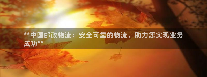 28圈游戏：**中国邮政物流：安全可