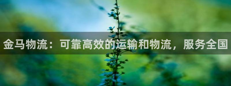 28圈ccm游戏：金马物流：可靠高效