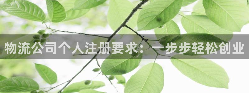 28圈麻将胡了：物流公司个人注册要求