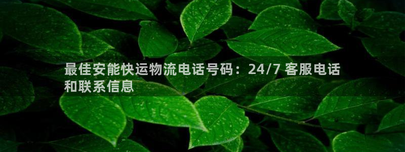 28圈预测：最佳安能快运物流电话号码