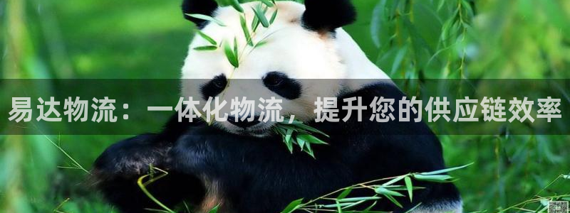 28圈头像：易达物流：一体化物流，提