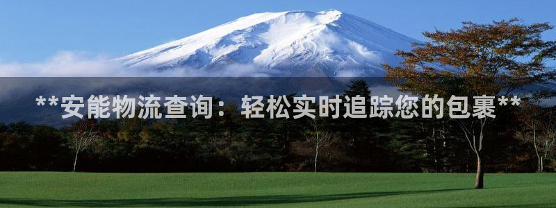 28圈注册流程：**安能物流查询：轻