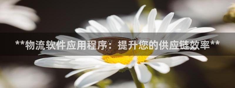 28圈模拟器下载