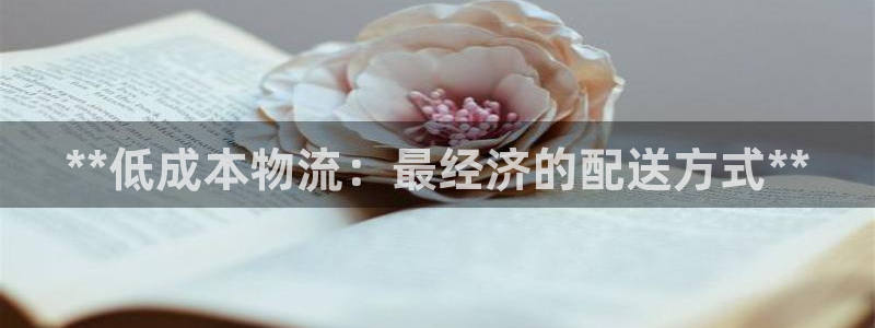 28圈ccm游戏