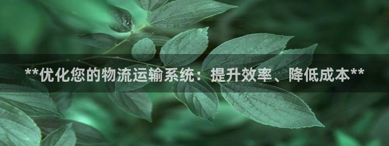 28圈图片：**优化您的物流运输系统