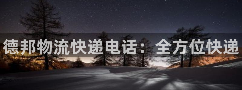 28圈加拿大最新版：德邦物流快递电话