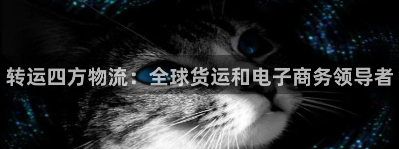 28圈违法吗：转运四方物流：全球货运