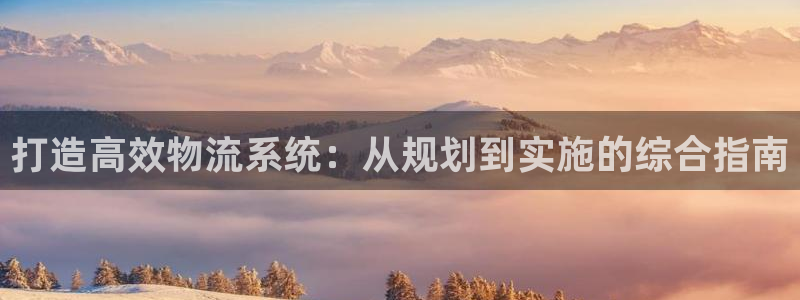 28圈官网链接：打造高效物流系统：从