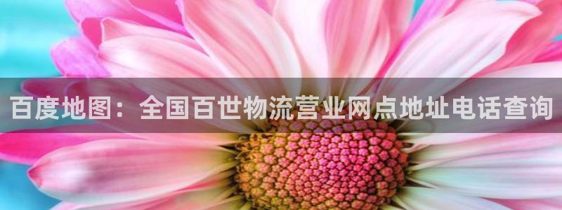 28圈的平台：百度地图：全国百世物流