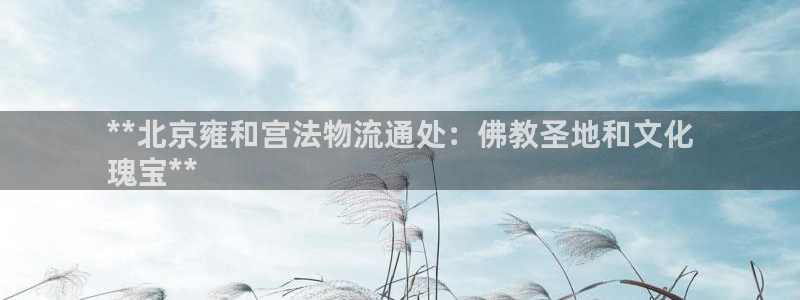 28圈圈助手：**北京雍和宫法物流通