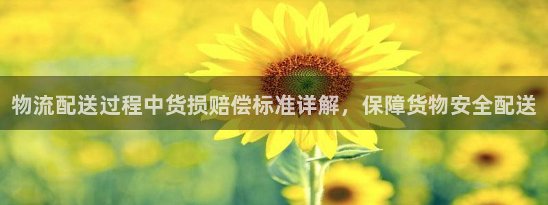 28圈.ccmpcios：物流配送过
