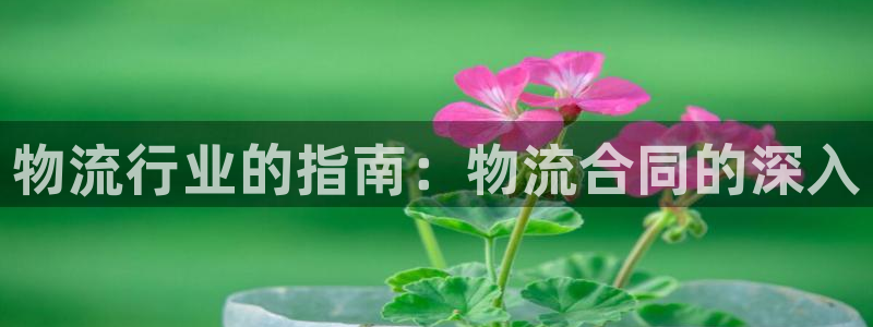 28圈链接来一个：物流行业的指南：物