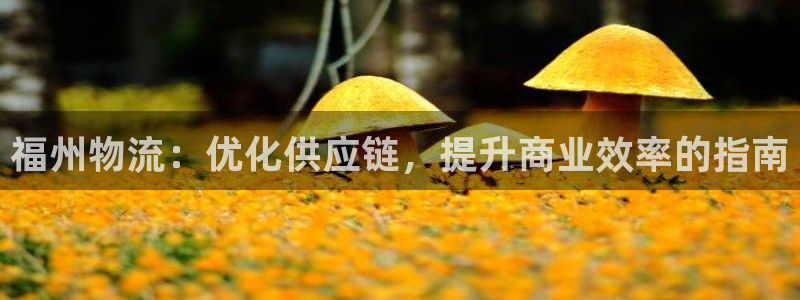 28圈app赢了500万：福州物流：