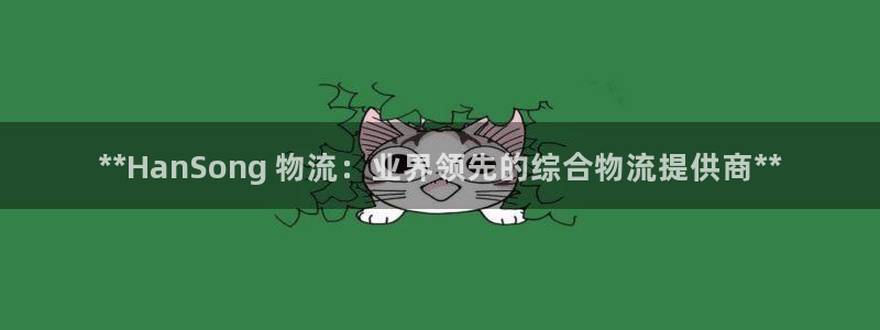 28圈是啥：**HanSong 物流