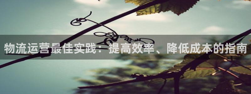 28圈女王中奖记录查询：物流运营最佳