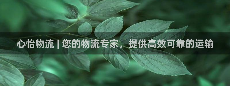 28圈流水怎么算：心怡物流 | 您的