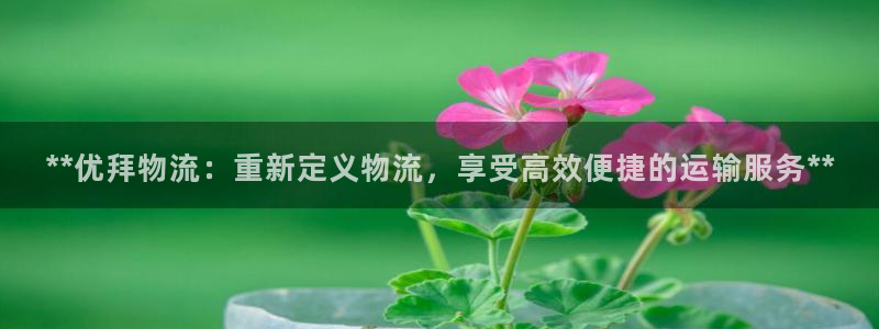 28圈app赢了500万