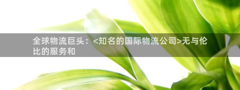 28圈麻将：全球物流巨头：<知名的国