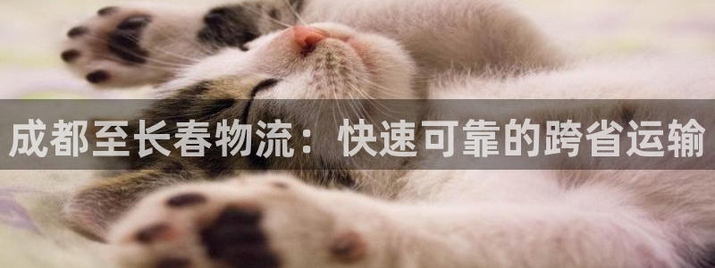 28圈.ccm南宫：成都至长春物流：