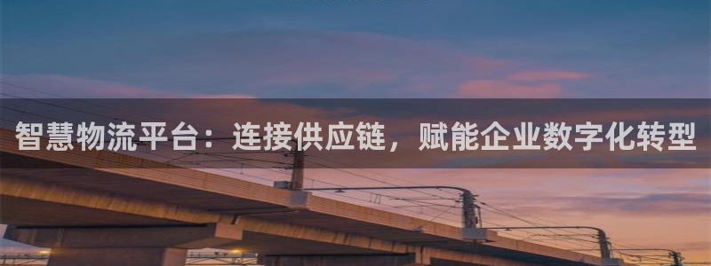 28圈注册入口与教程：智慧物流平台：