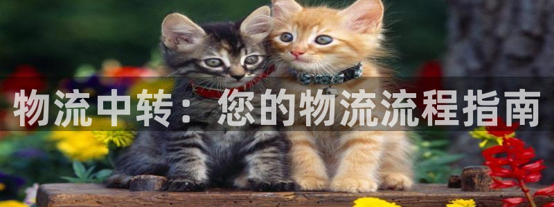 28圈链官网