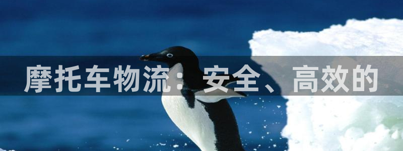 28圈注册条件：摩托车物流：安全、高