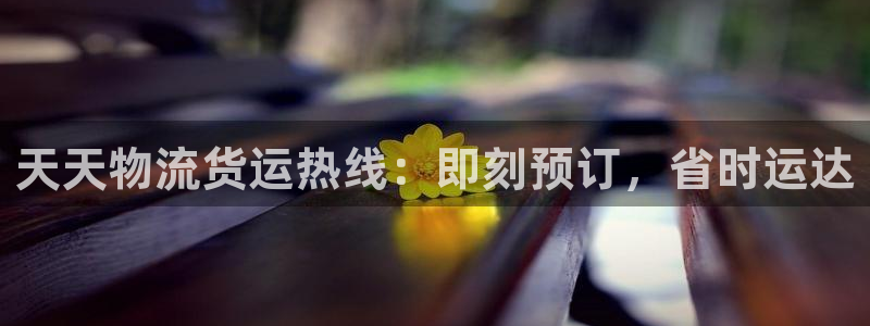28圈链官网：天天物流货运热线：即刻
