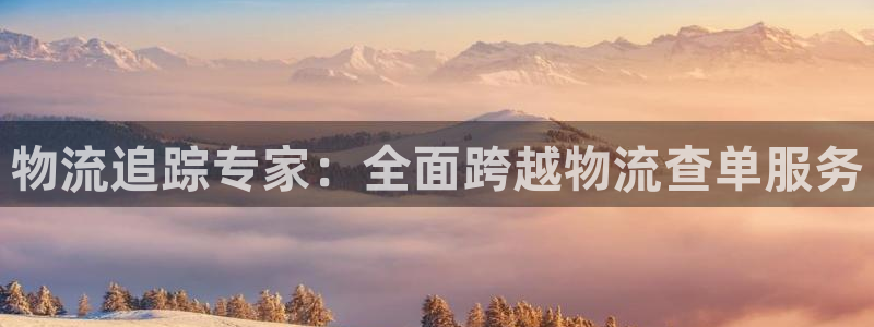 28圈黑钱：物流追踪专家：全面跨越物
