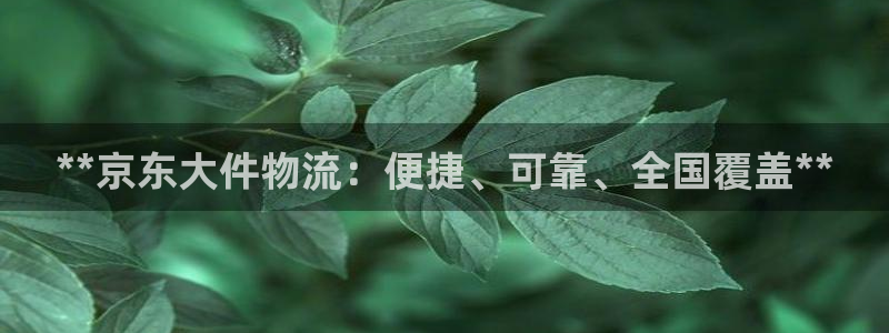 28圈的平台：**京东大件物流：便捷