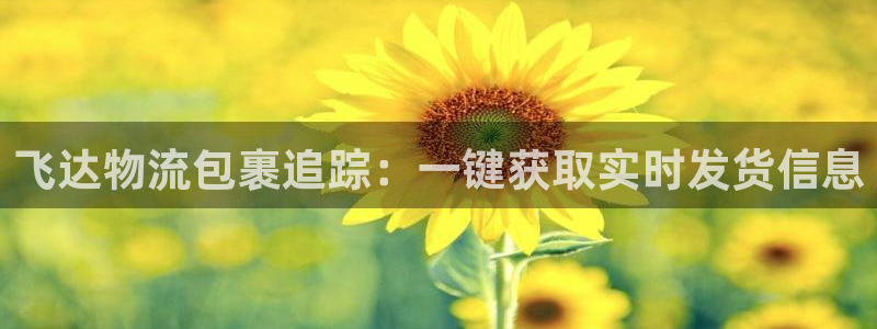 南宫28圈官网：飞达物流包裹追踪：一