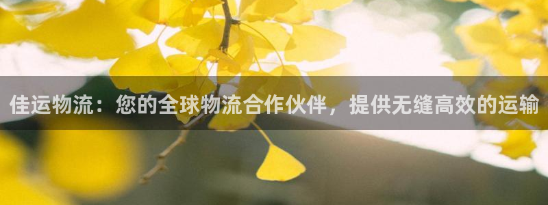 28圈的自行车：佳运物流：您的全球物