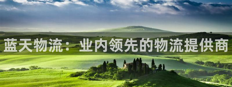 28圈免费：蓝天物流：业内领先的物流