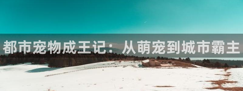 自行车28圈是什么意思：都市宠物成王
