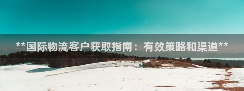 28圈赌博软件正规吗：**国际物流客
