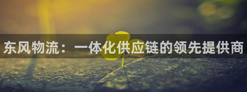 28圈入口问一问：东风物流：一体化供