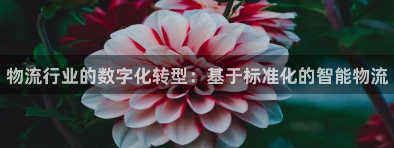 28圈加拿大模拟器：物流行业的数字化